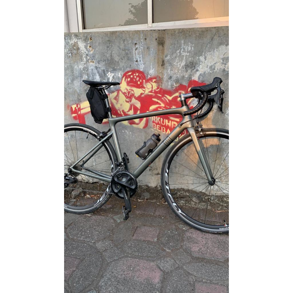 Roadbike Delihea Rest Carbon fullbike