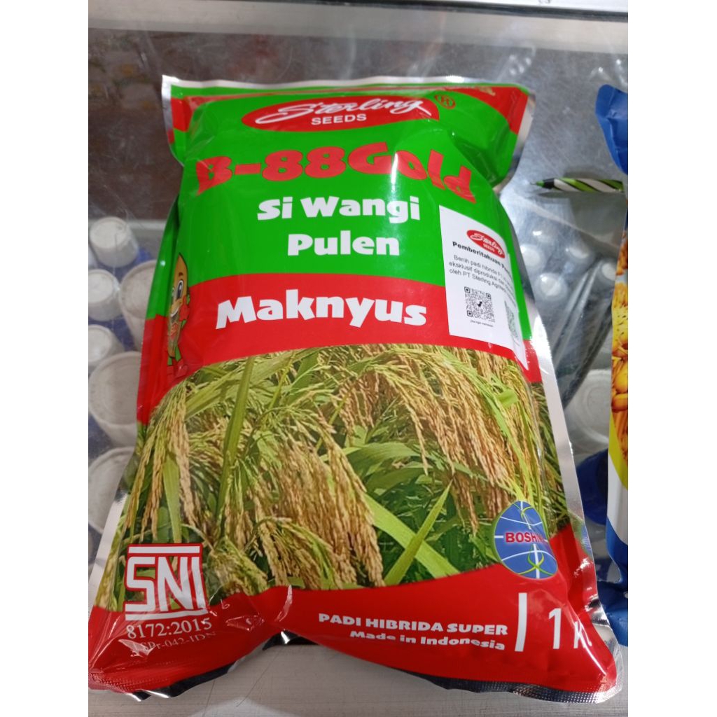 Benih padi B-88 Gold