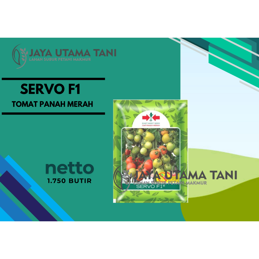 Benih Bibit Tomat Servo F1 - Cap Panah Merah / Exp akhir 2026