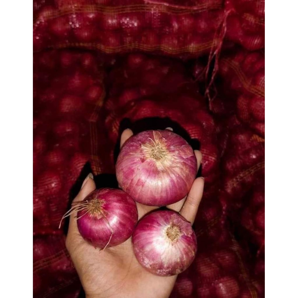 Bawang Merah India 1kg JUMBO