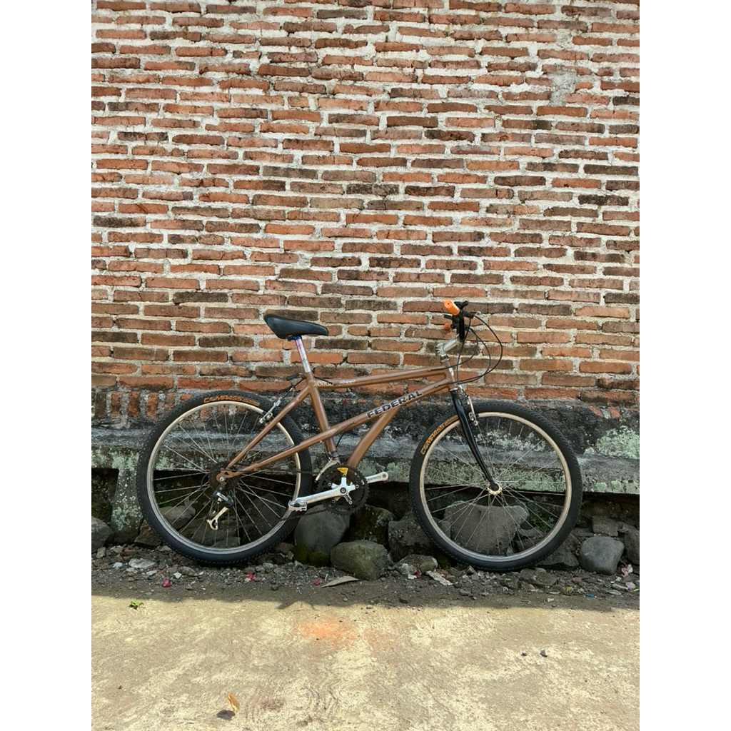 MTB Elevated Chainstay/ Sepeda Commuter/ Sepeda Kalcer