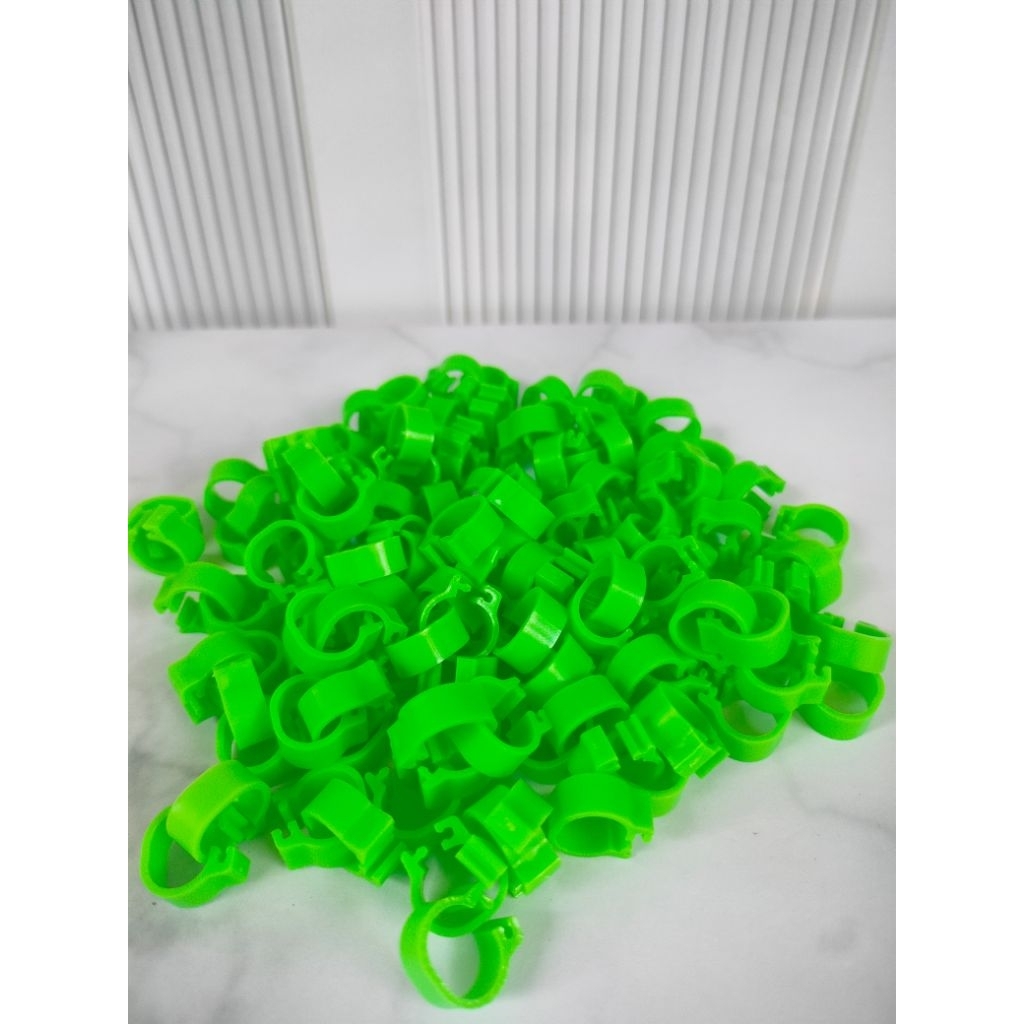 Ring klip buat merpati dewasa