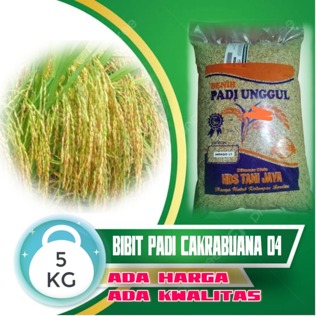 BIBIT PADI VARIETAS CAKRABUANA 04 KEMASAN 5KG