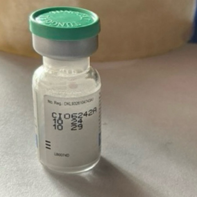 kb kucing 1 bulan gratis suntikan 1 pas