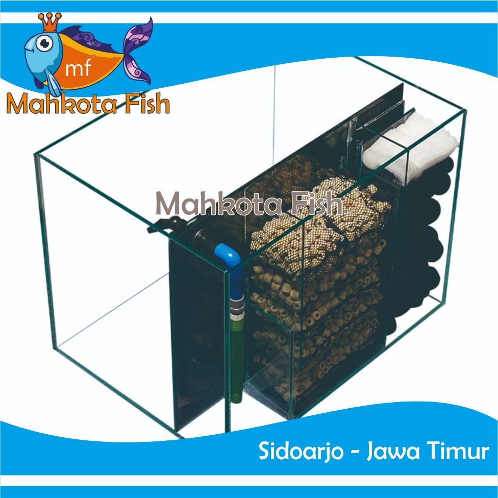 AQUARIUM BESAR + SUMP FILTER BELAKANG | AQUARIUM KACA | AQUARIUM AQUASCAPE | (KHUSUS INSTAN)