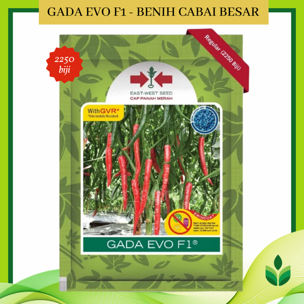 Benih Bibit Cabe Besar Gada Evo F1 2250 Biji - Cap Panah Merah