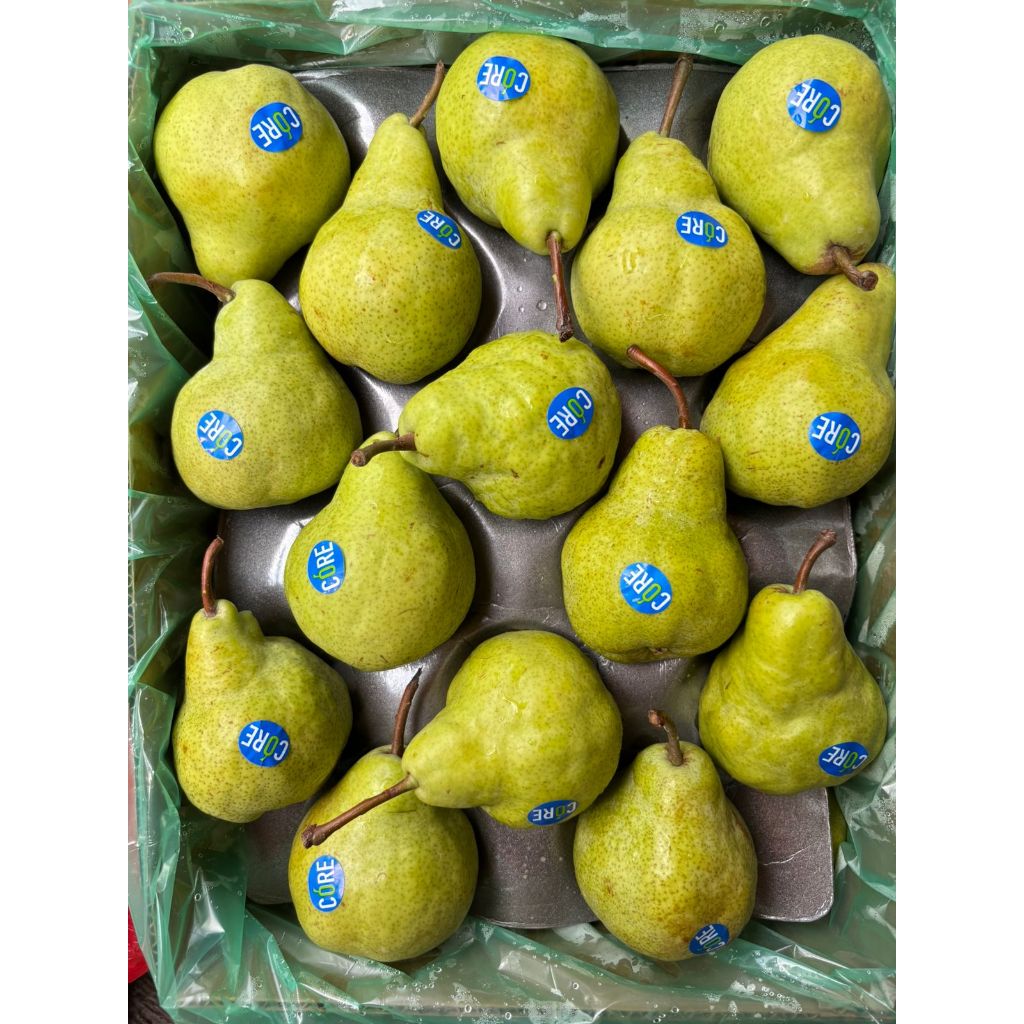 Pir Packham Hijau 1Kg Segar