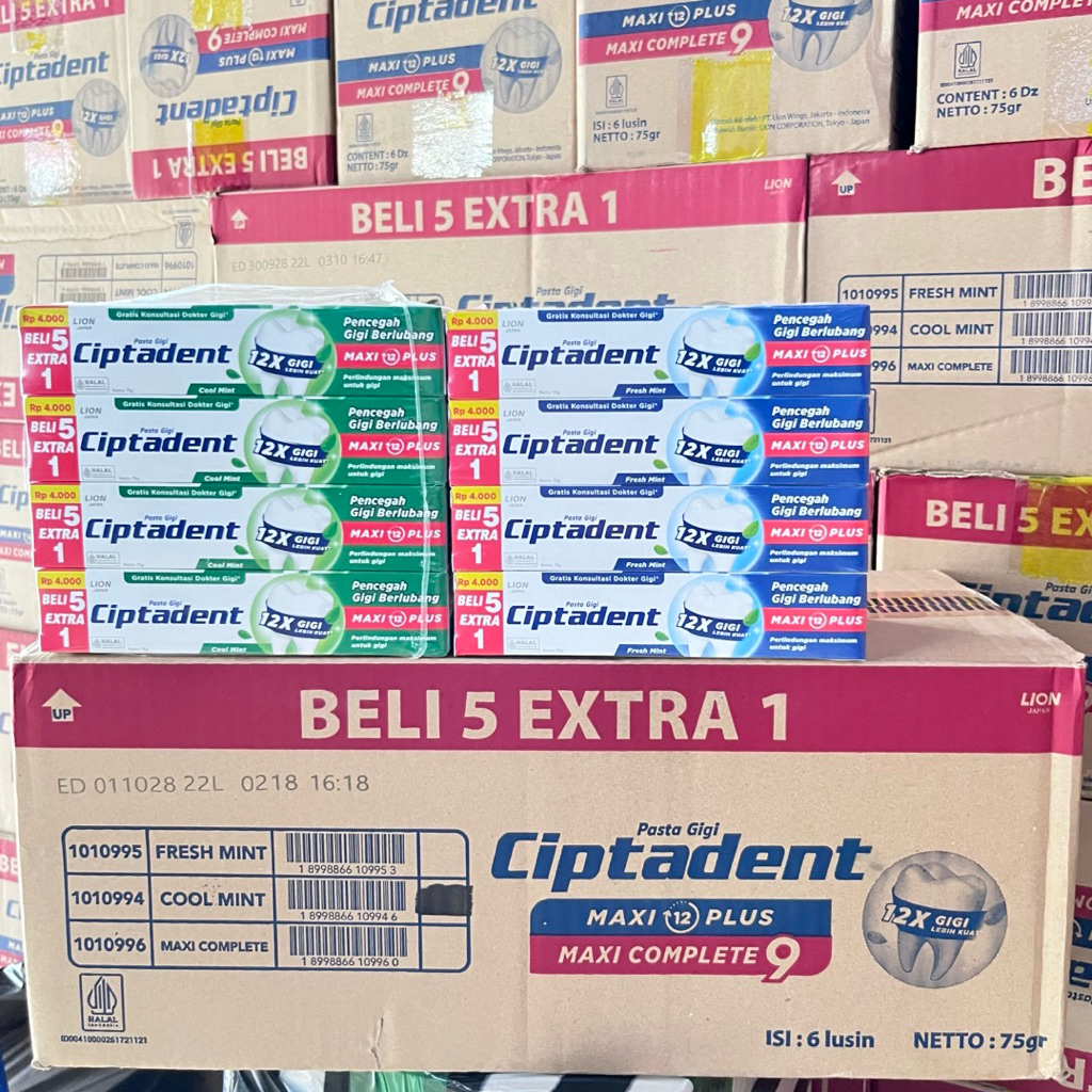 1 DUS Pasta Gigi Ciptadent 75 gram Isi 6 Lusin
