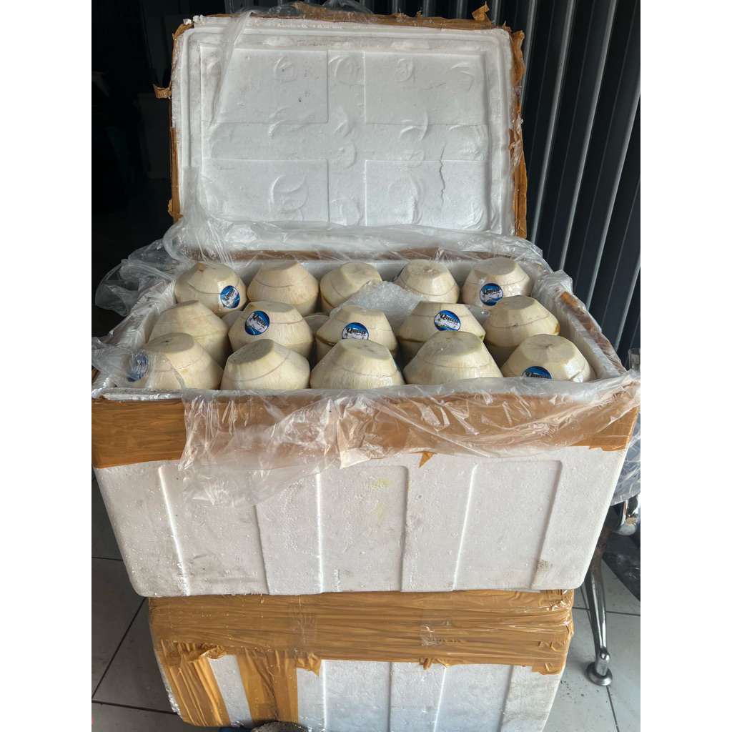 Degan Jelly Queen Tawar ( tanpa gula Size sedang ) Ready Stock