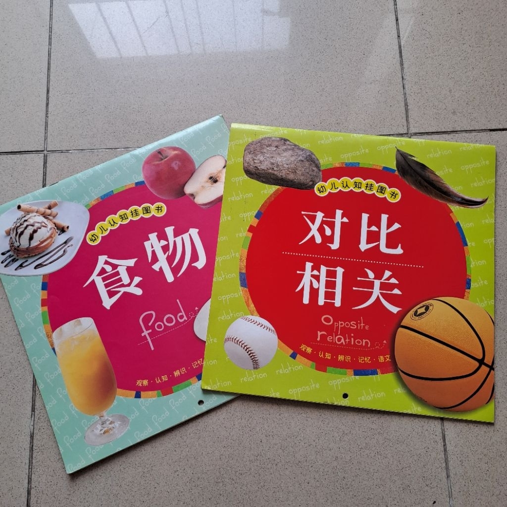 Buku Belajar Bahasa Mandarin Chinese English Import