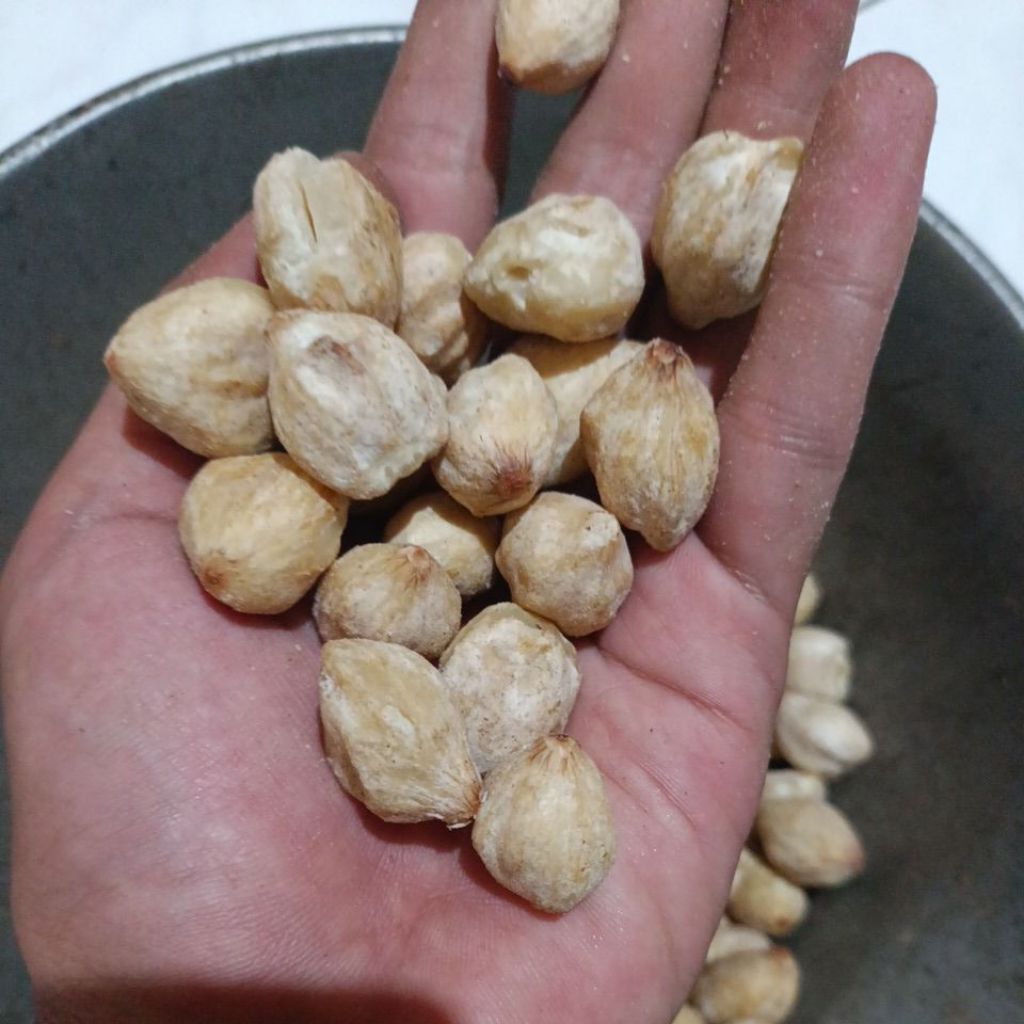 KEMIRI 1 KG