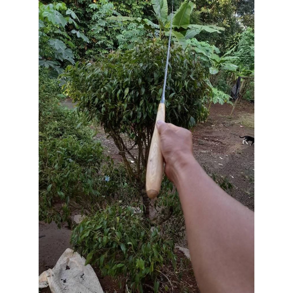 joran wader/uceng super lentur sambung 1