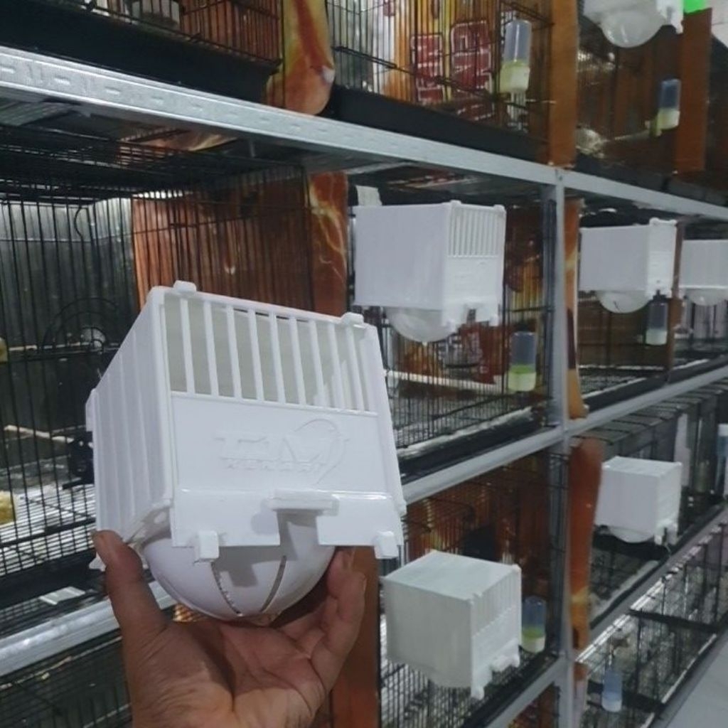 Box sarang burung kenari