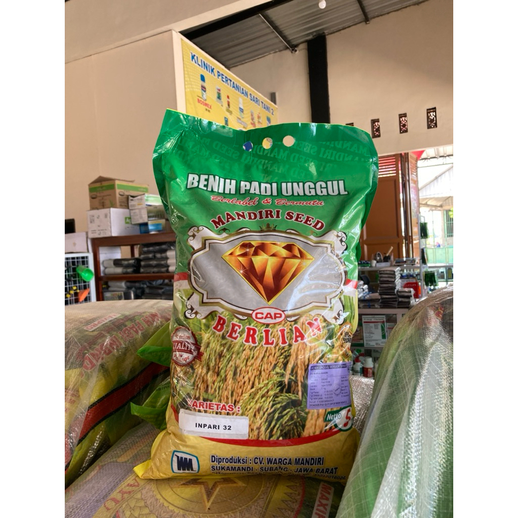 BENIH PADI UNGGUL BERLIAN, MAKSIPRO 99, M12 ZENIX | SUKAMANDI SUBANG | BENIH INPARI 32 | BENIH INBRI