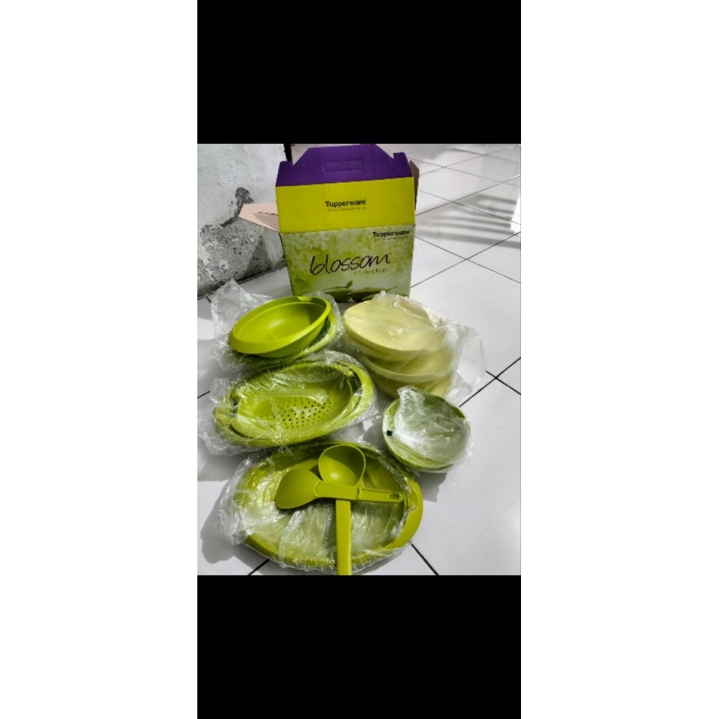 blossom collection Tupperware