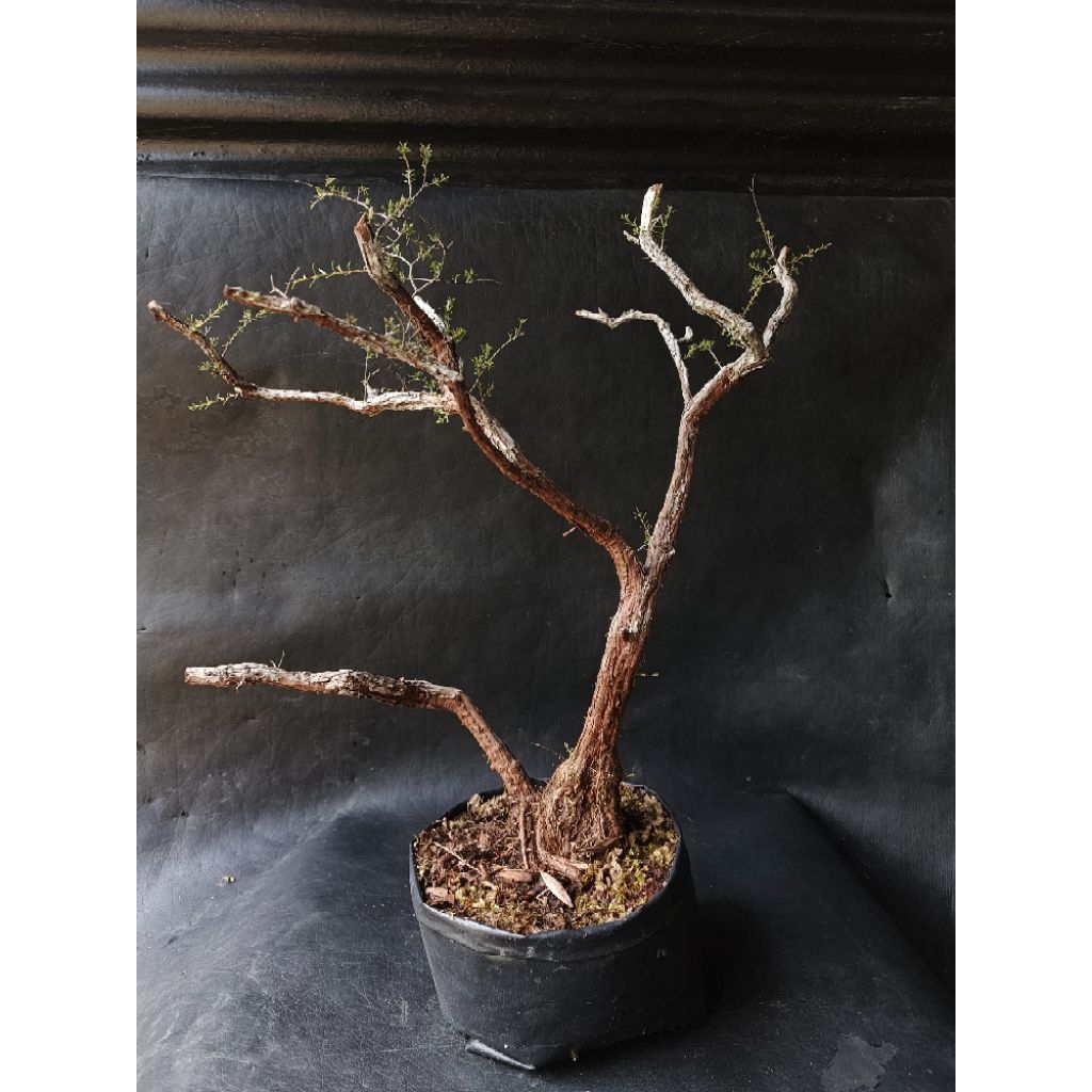 Bahan cucur atap meliuk