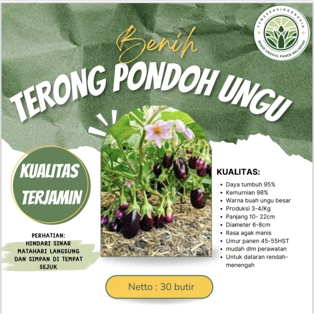 Benih Super terong pondoh ungu