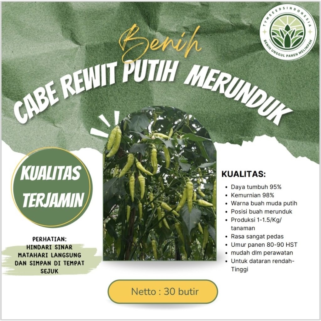 Benih Super Cabe Rawit putih merunduk / rawit setan