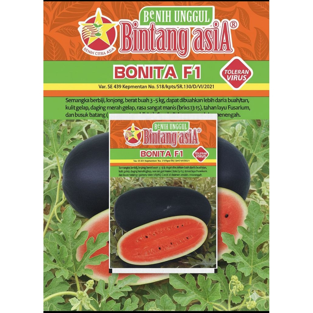 Benih SEMANGKA BONITA F1 20gr | Bintang Asia | BENIH UNGGUL
