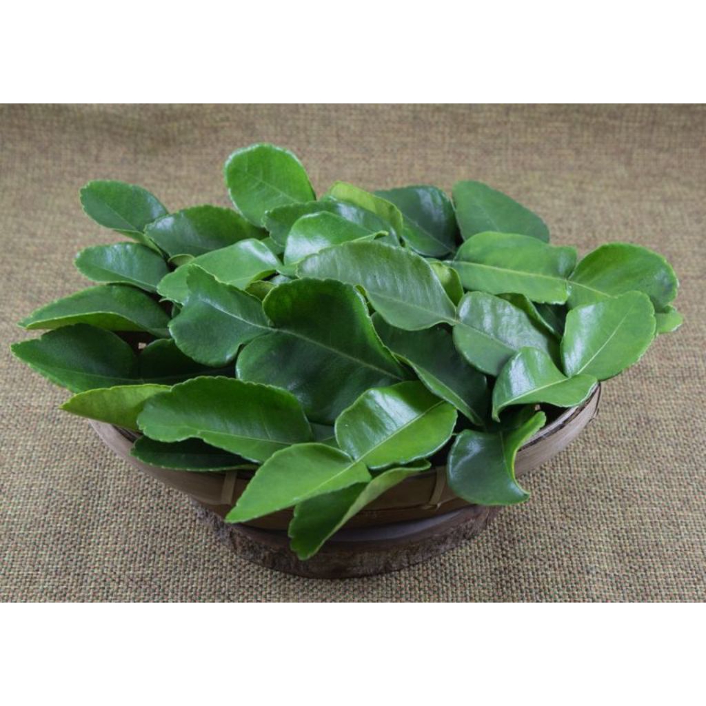 Daun Jeruk 1 Kg