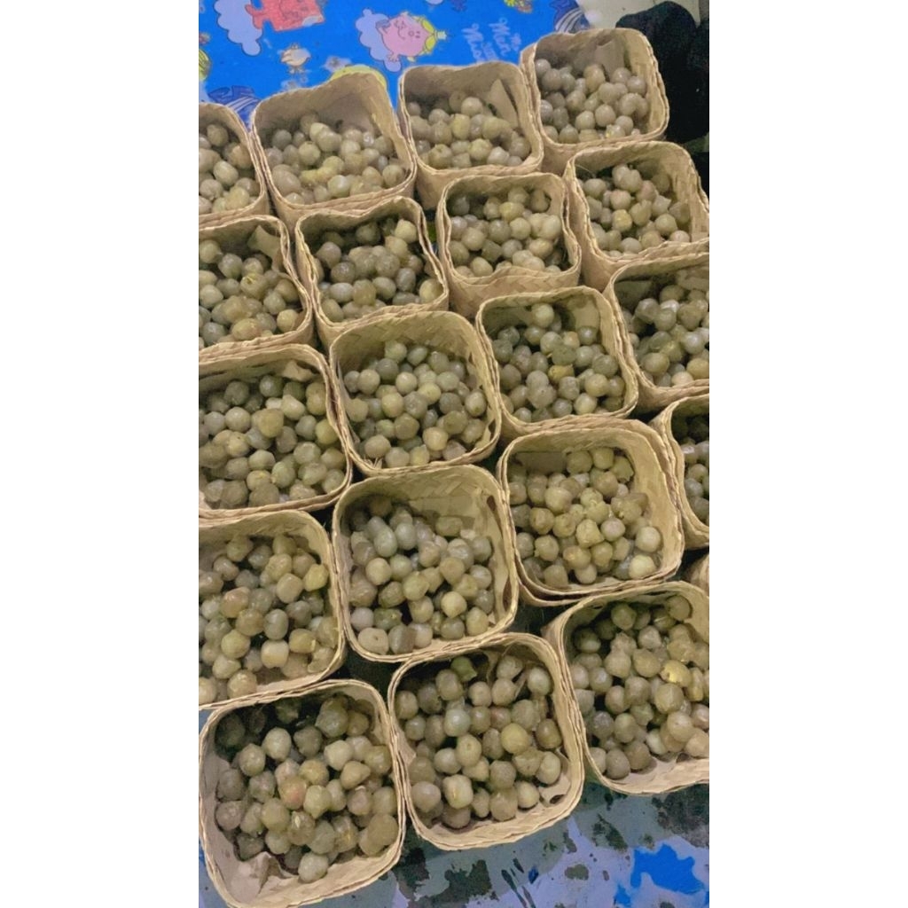 Oleh oleh khas Tegal Olos yani pegirikan kemasan vacum