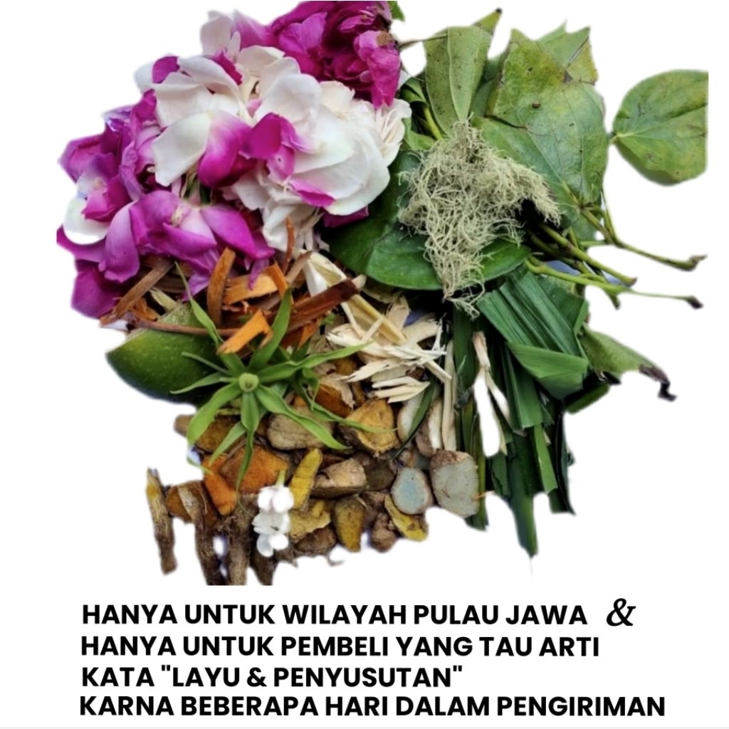 Kembang macan kerah / kembang macan kerah mandi