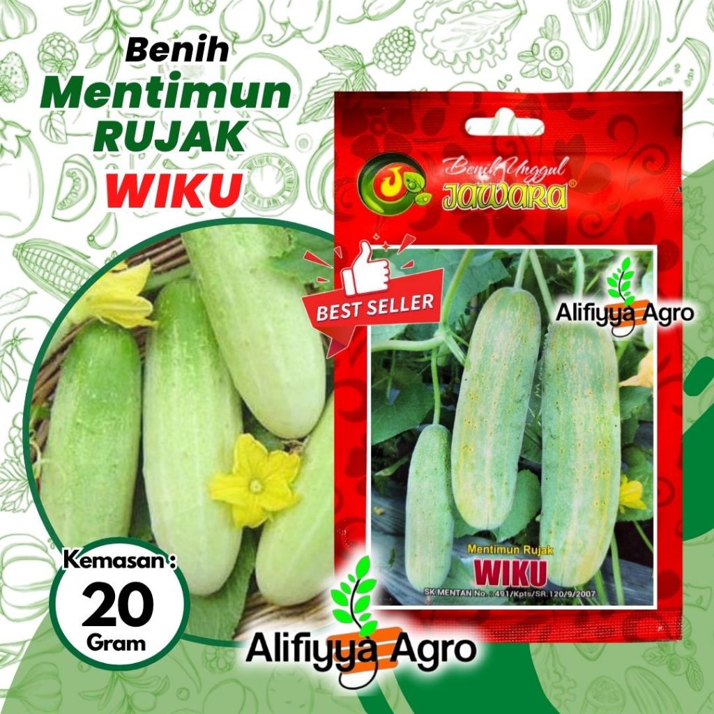 Benih Mentimun - WIKU - Benih Timun Rujak Jawara Unggul  20 Gram