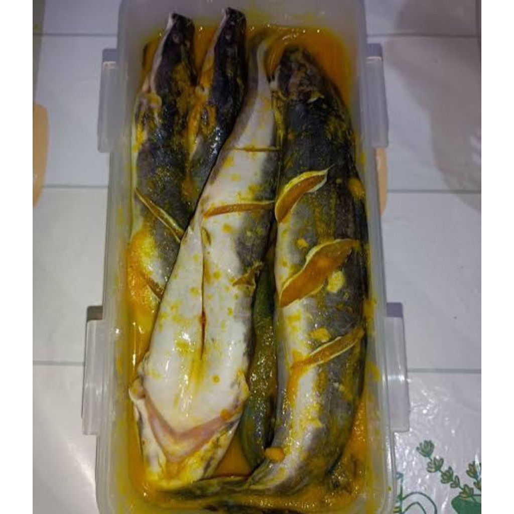 IKAN LELE SEGAR UNGKEP 1KG BUMBU KUNING SIAP GORENG FROZEN KEMASAN THINWALL