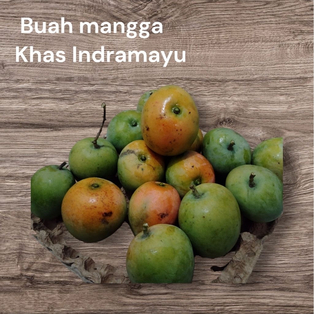 Buah mangga Gedong gincu Khas Indramayu