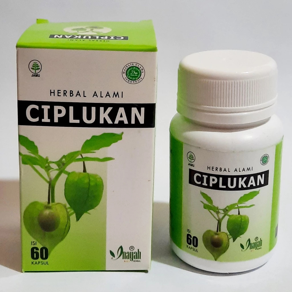 KAPSUL CIPLUKAN HERBAL ALAMI ISI 60 KAPSUL INAYAH HERBAL / KAPSUL DAUN CIPLUKAN