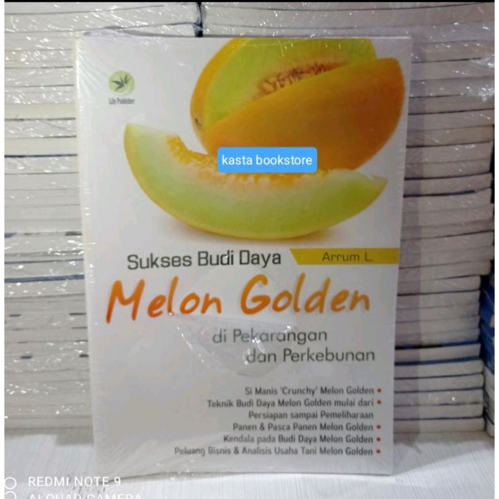agribisnis melon golden budidaya melon kuning original