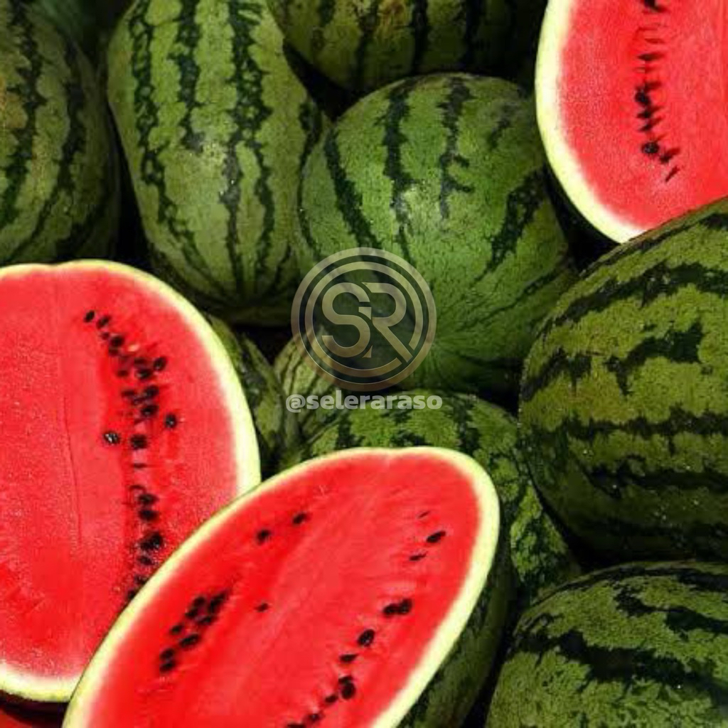 Buah Semangka Merah 1Buah