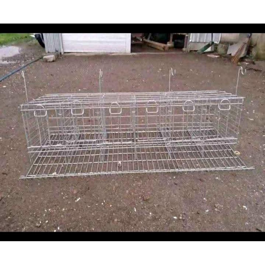 Kandang Ayam petelur Pintu 6 Isi 6 Galvanis