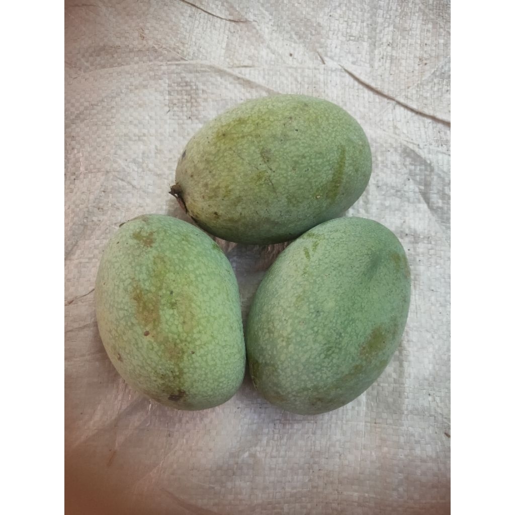 mangga manalagi madu