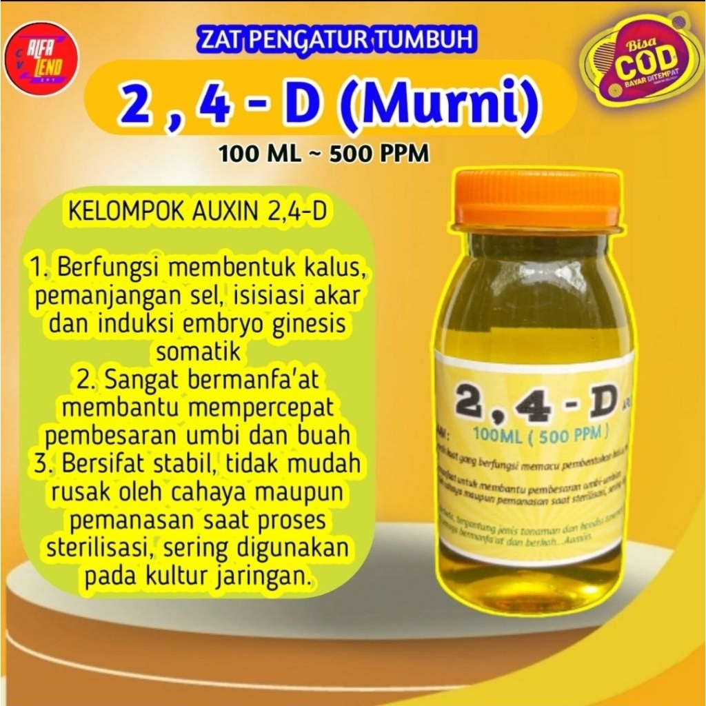 ZPT Auksin 2,4D hormon tanaman berfungsi dominan untuk pengisian umbi agar menjadi lebih besar dari 