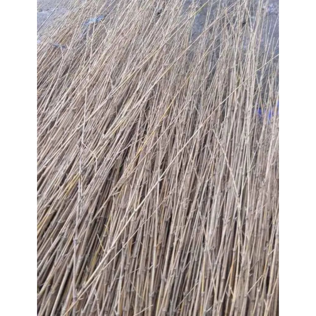 Ranting Bambu kering Ranting Bambu Hias Bambu Dekorasi