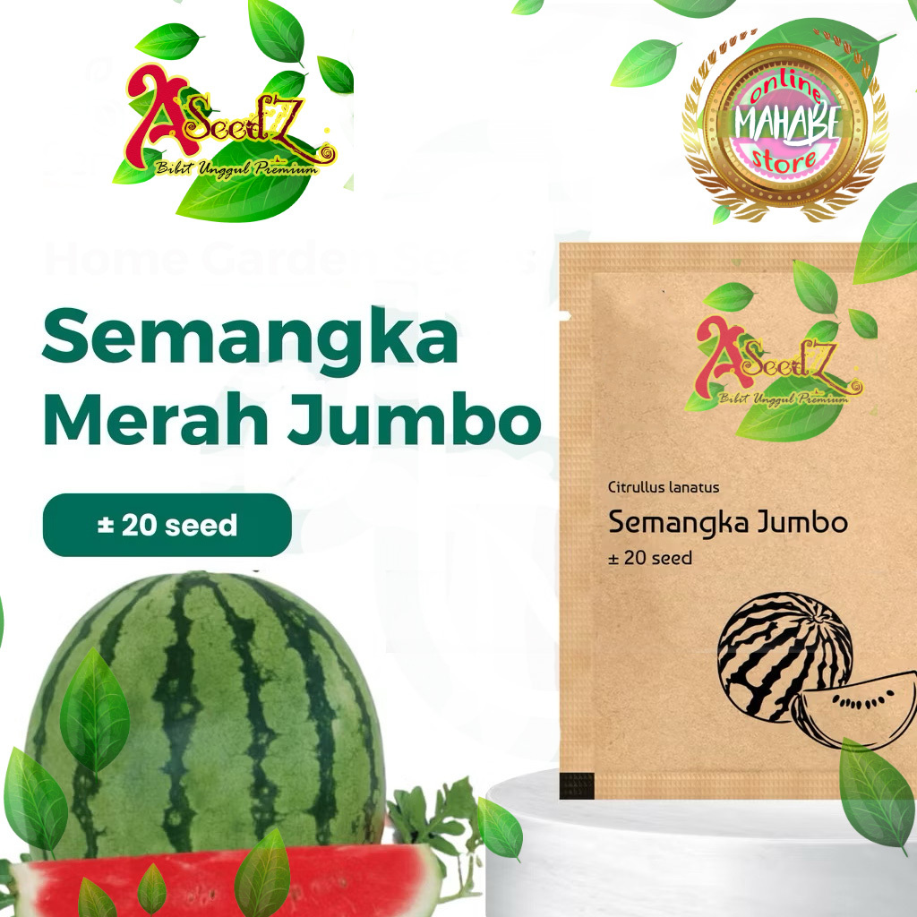benih semangka merah jumbo berkualitas 5 Benih Buah Semangka Merah Jumbo F1 Hibrida
