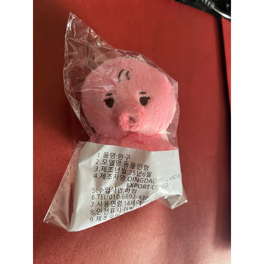 Tteonko 8cm The Boyz Sunwoo Doll New Ready Stock