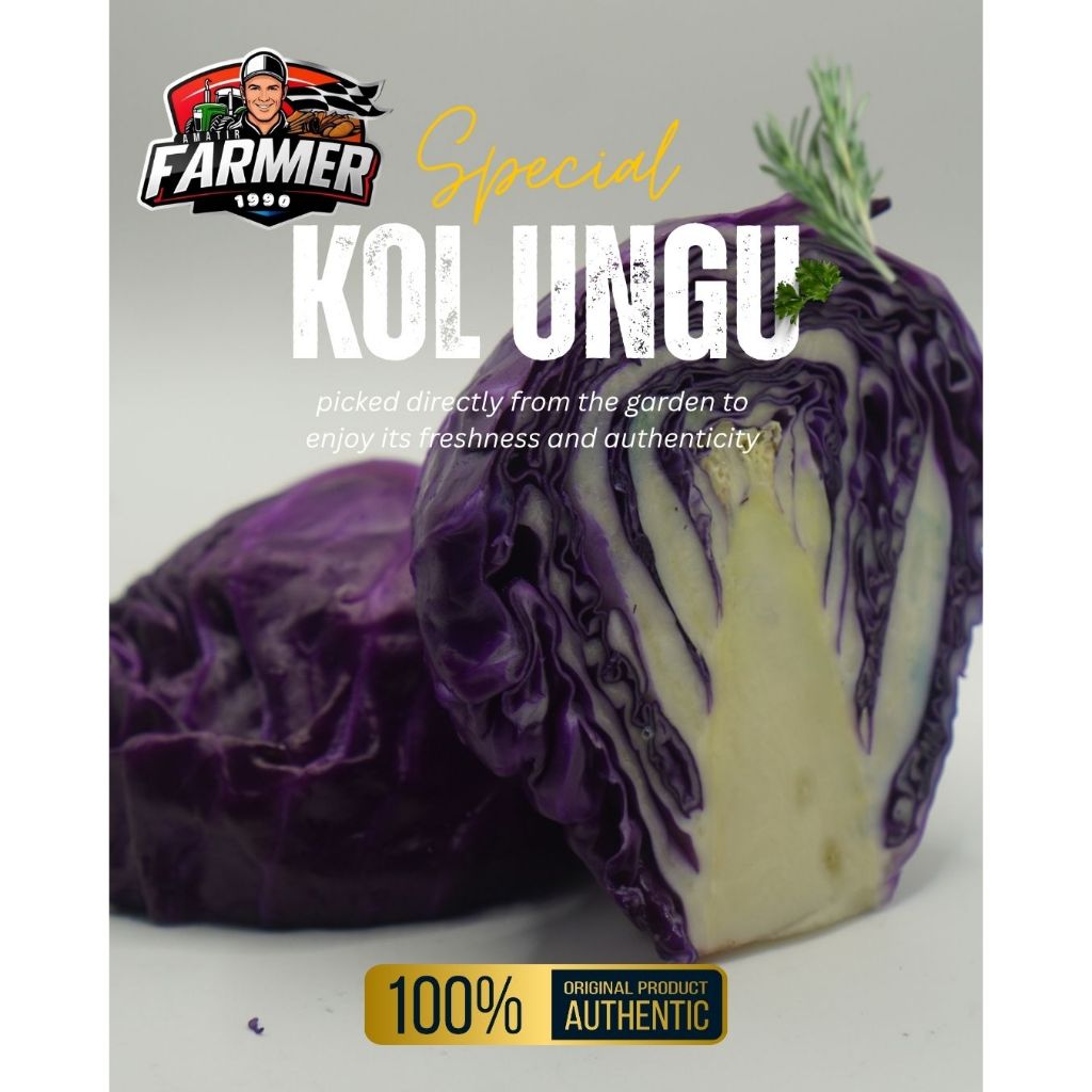 KOL UNGU 1KG/SAYURAN PREMIUM/BAHAN UNTUK SALAD