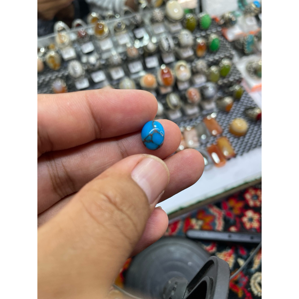 pirus mesir ceplok kuro