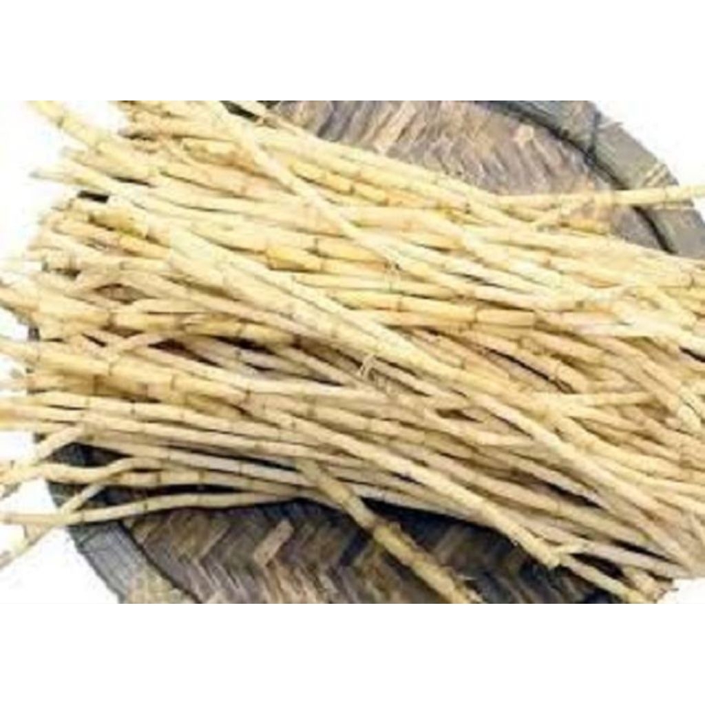 Akar Alang-alang segar netto 1 kgAkar Alang Alang / Akar Alang Alang Kering