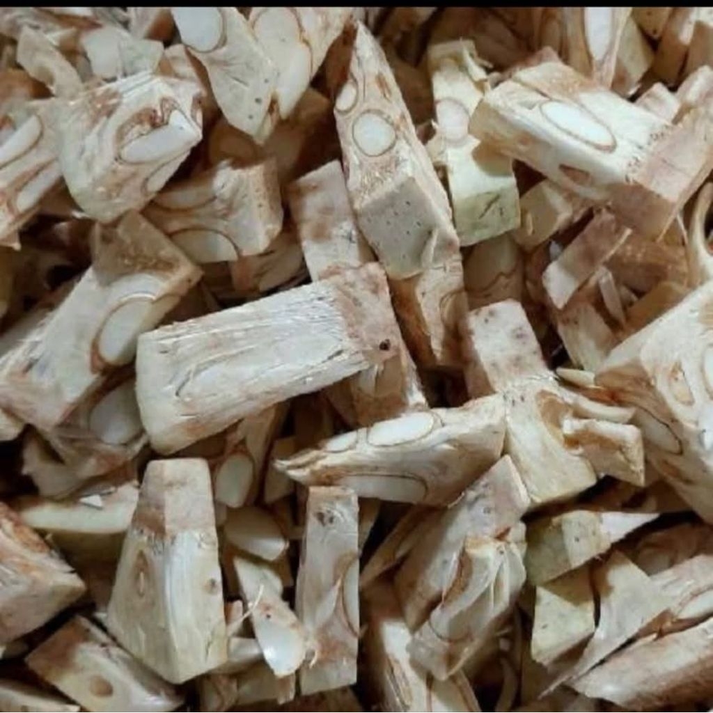 Nangka muda/nangka muda irisan/sayur nangka/gori hanya pengiriman instan pagi