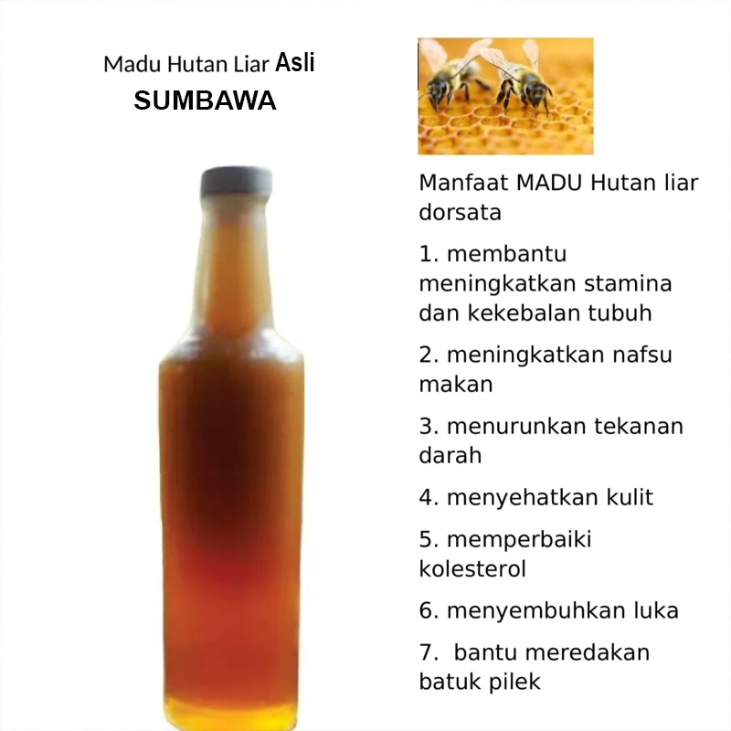 MADU LIAR ASLI 100% MADU HUTAN BIMA