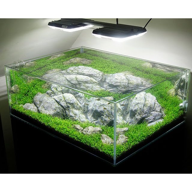 AQUARIUM KACA KURA-KURA | AQUARIUM KURA-KURA | AQUARIUM TERARIUM | AQUARIUM AQUASCAPE | (KHUSUS INST