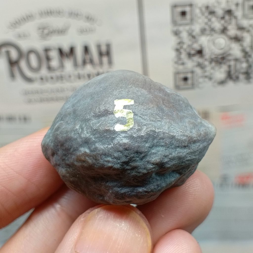 Muncang Adu Mayit Domba JR kode 5