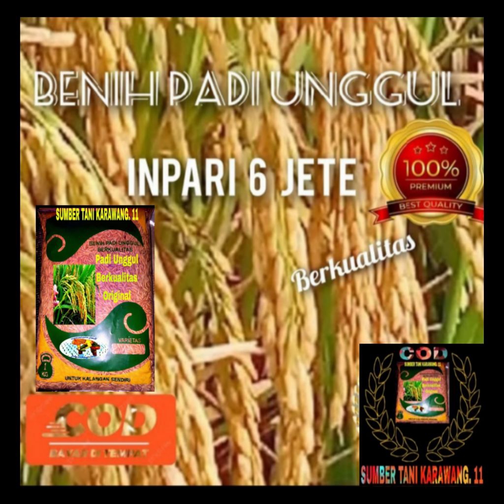 Benih Padi Unggul INPARI 6JETE Kemasan 1Kg