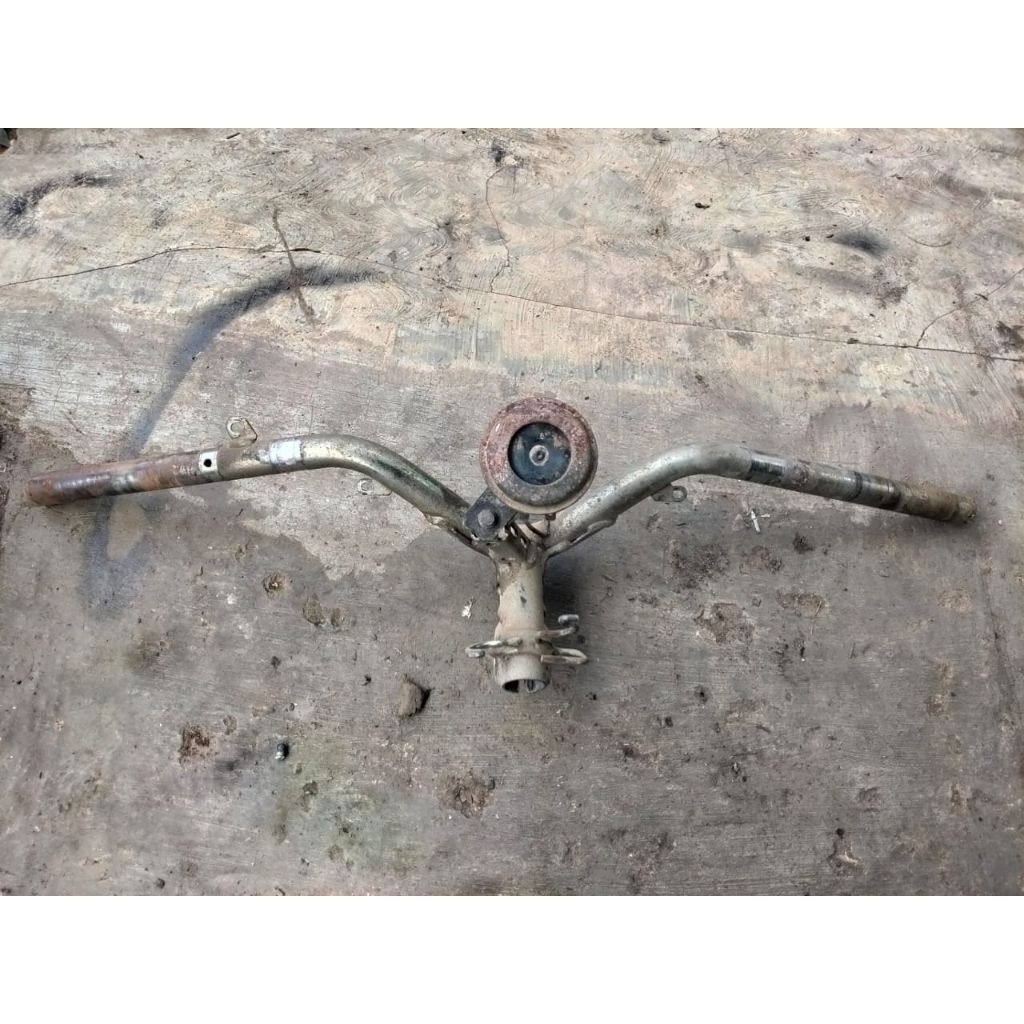 stang Xeon RC original copotan