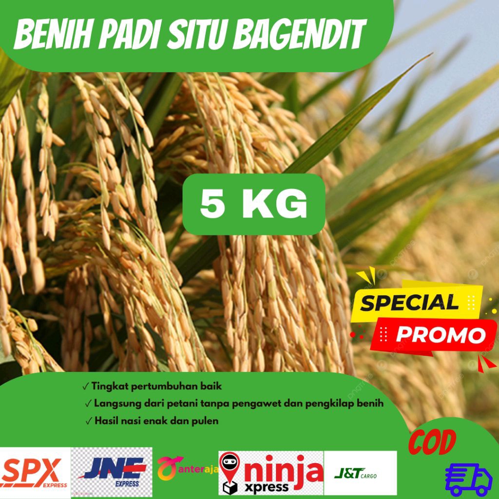 Benih Padi SITU BAGENDIT Berkualitas 5 Kg