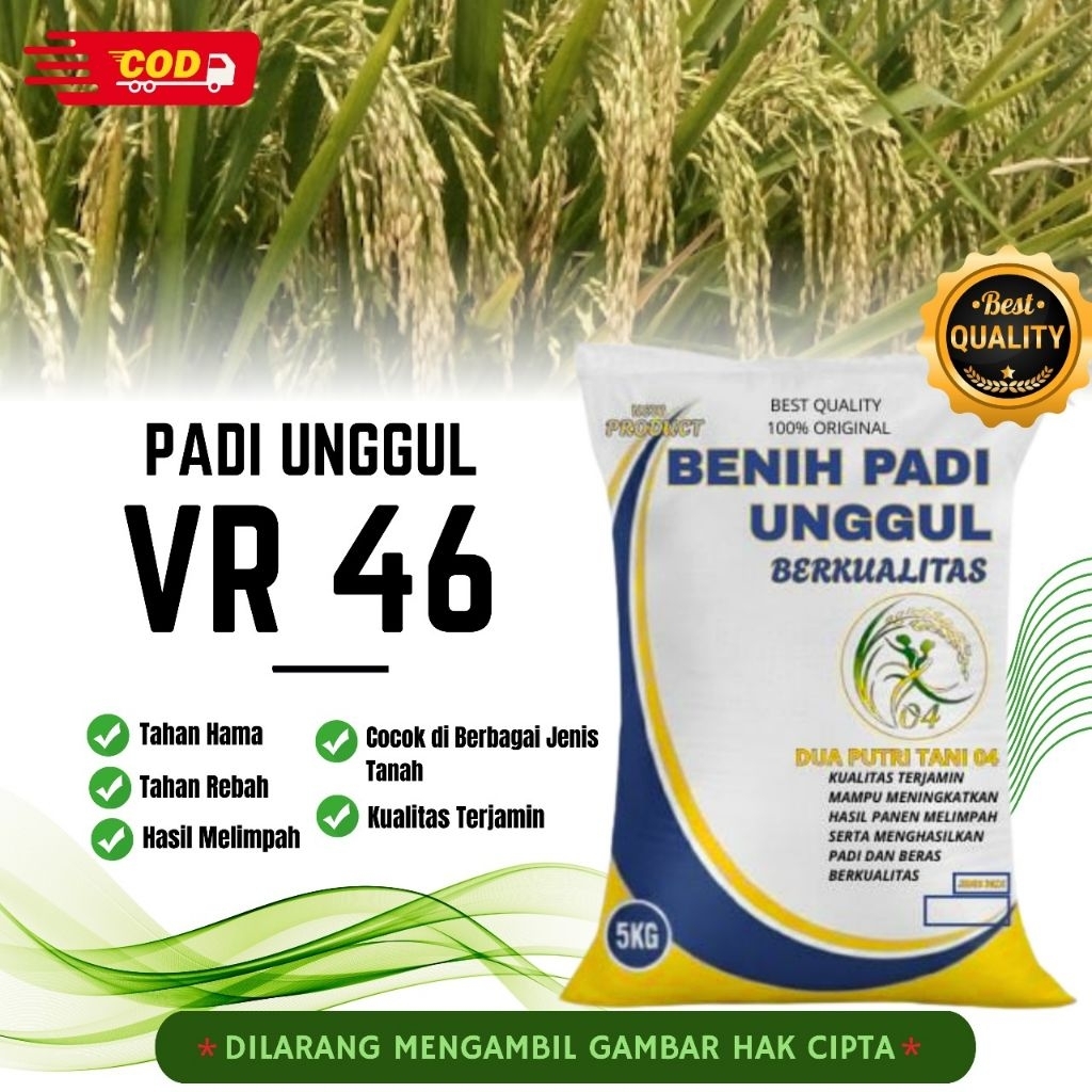 benih PADI VR 46  bibit unggul kemasan 5 kg