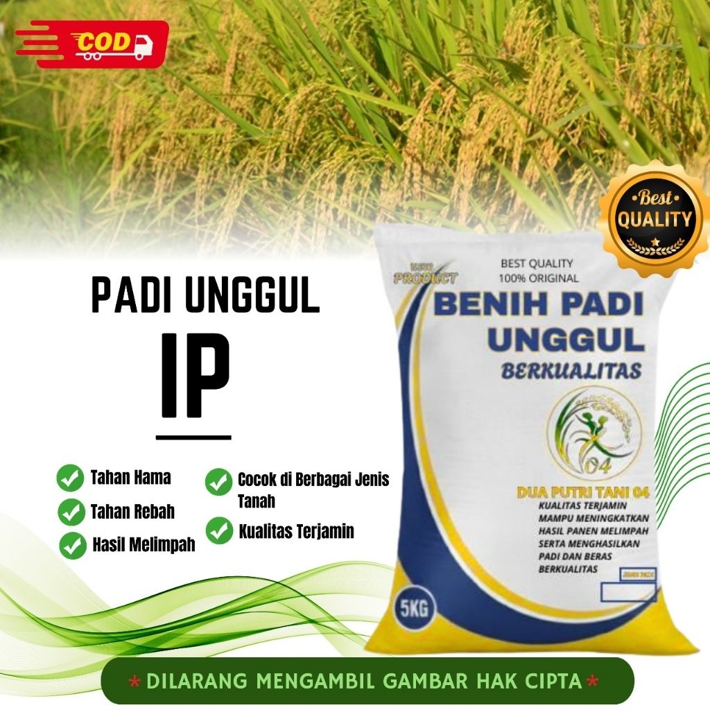 bibit PADI IP BIBIT UNGGUL kemasan 5kg